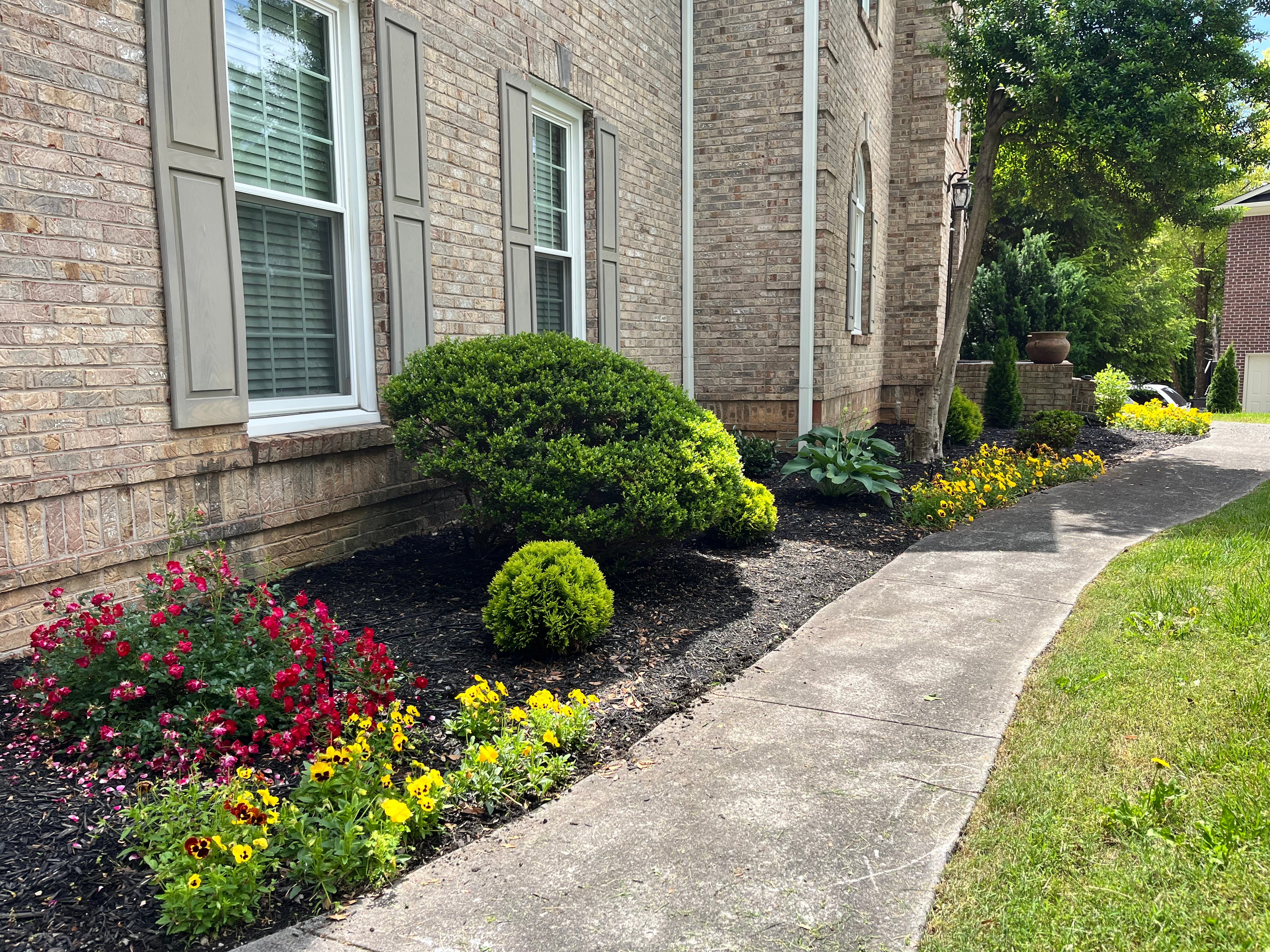 Avatar for River Birch Landscaping 