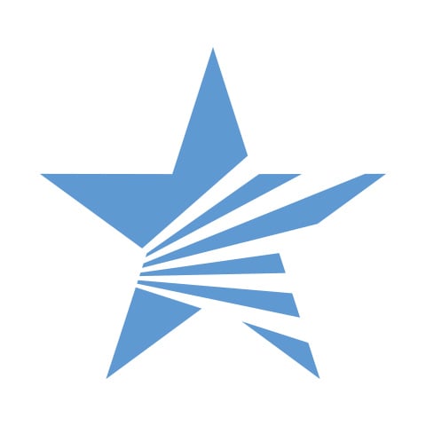 Lone Star Pro Services logo