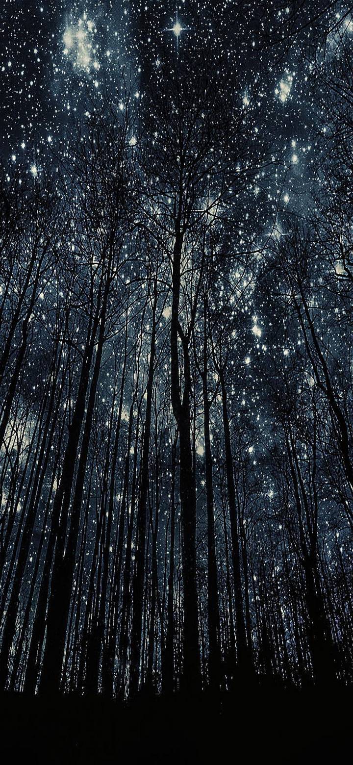 Avatar for All Aliano