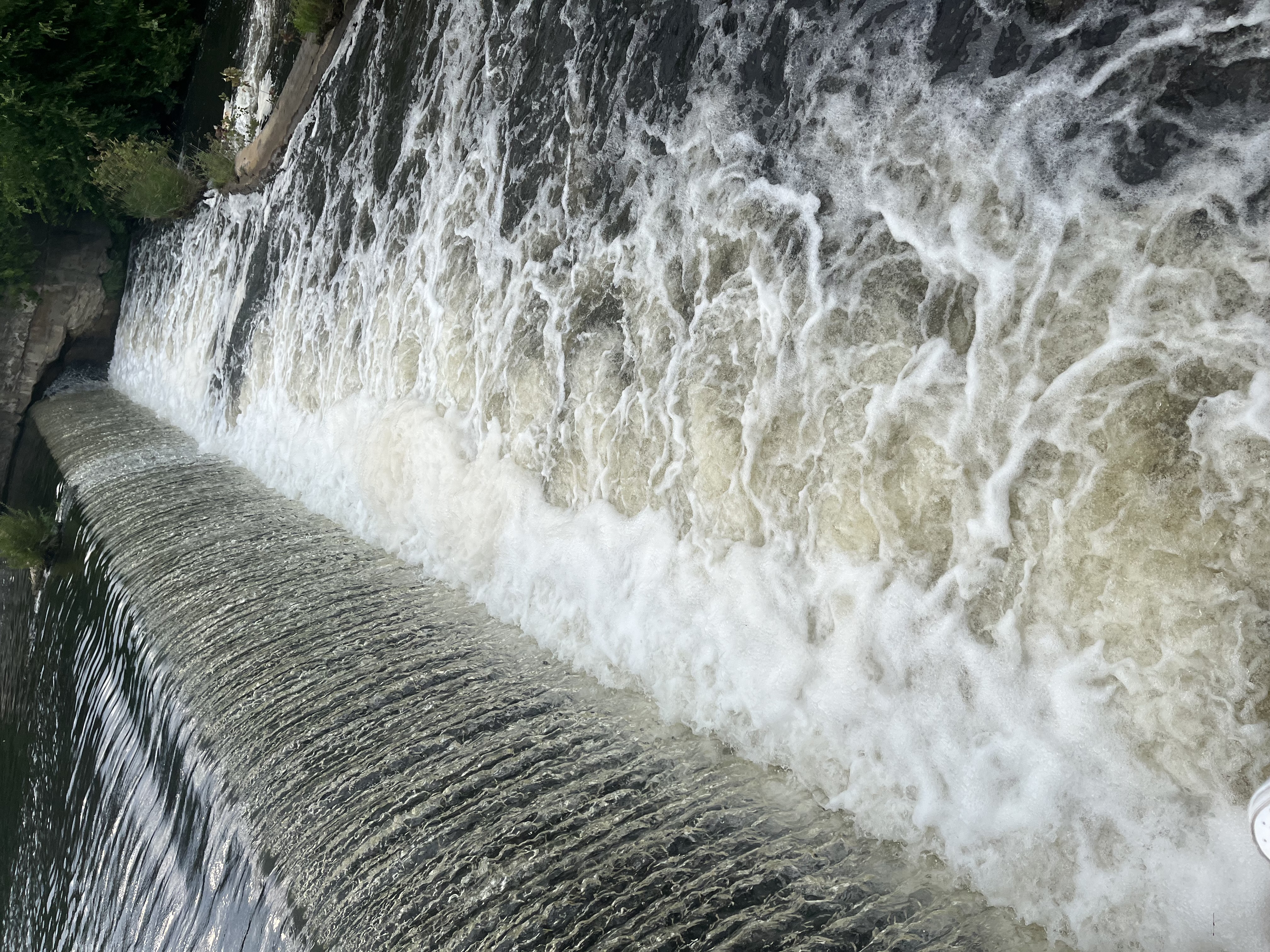 Avatar for Kurry service