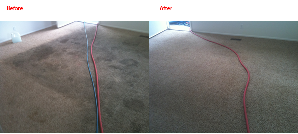 Avatar for AJS Carpet Cleaning Inc