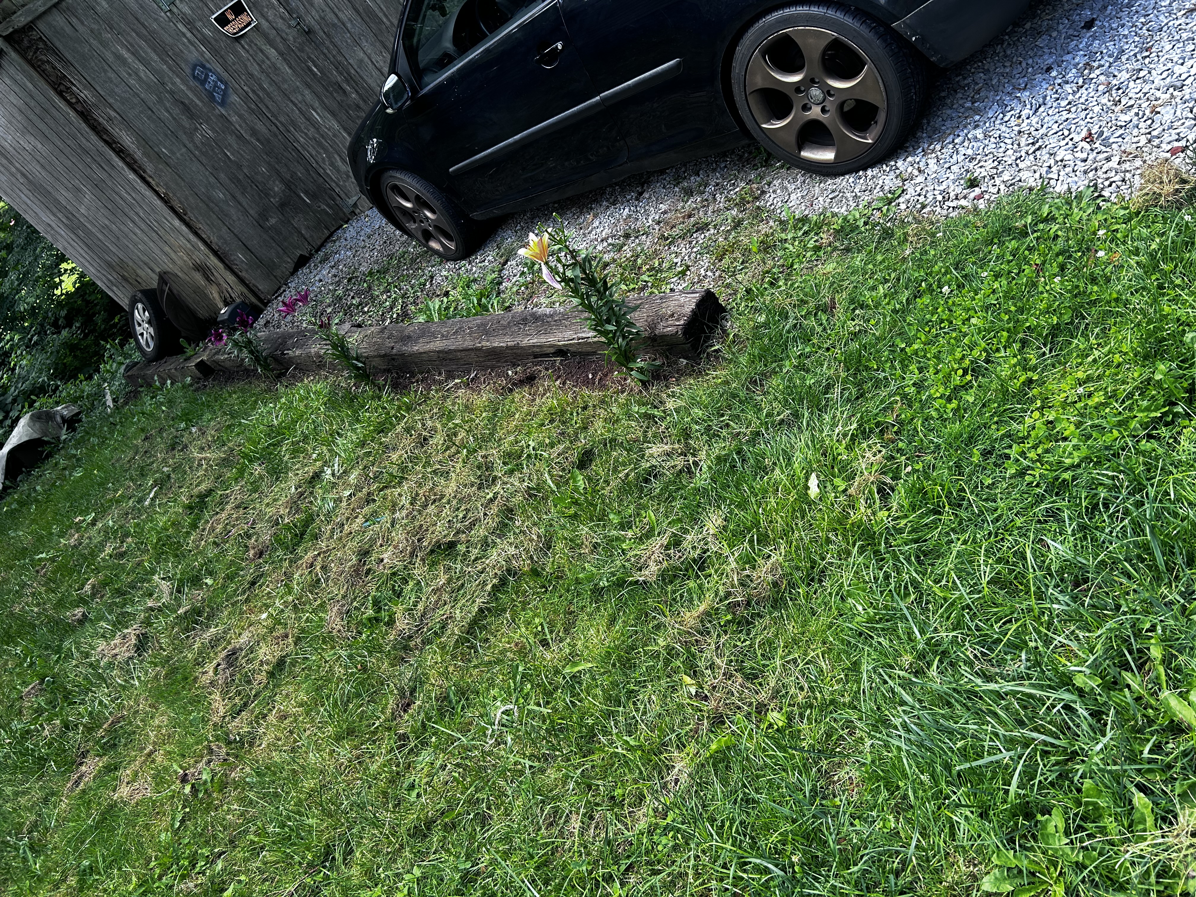 Avatar for Lawn Experts 