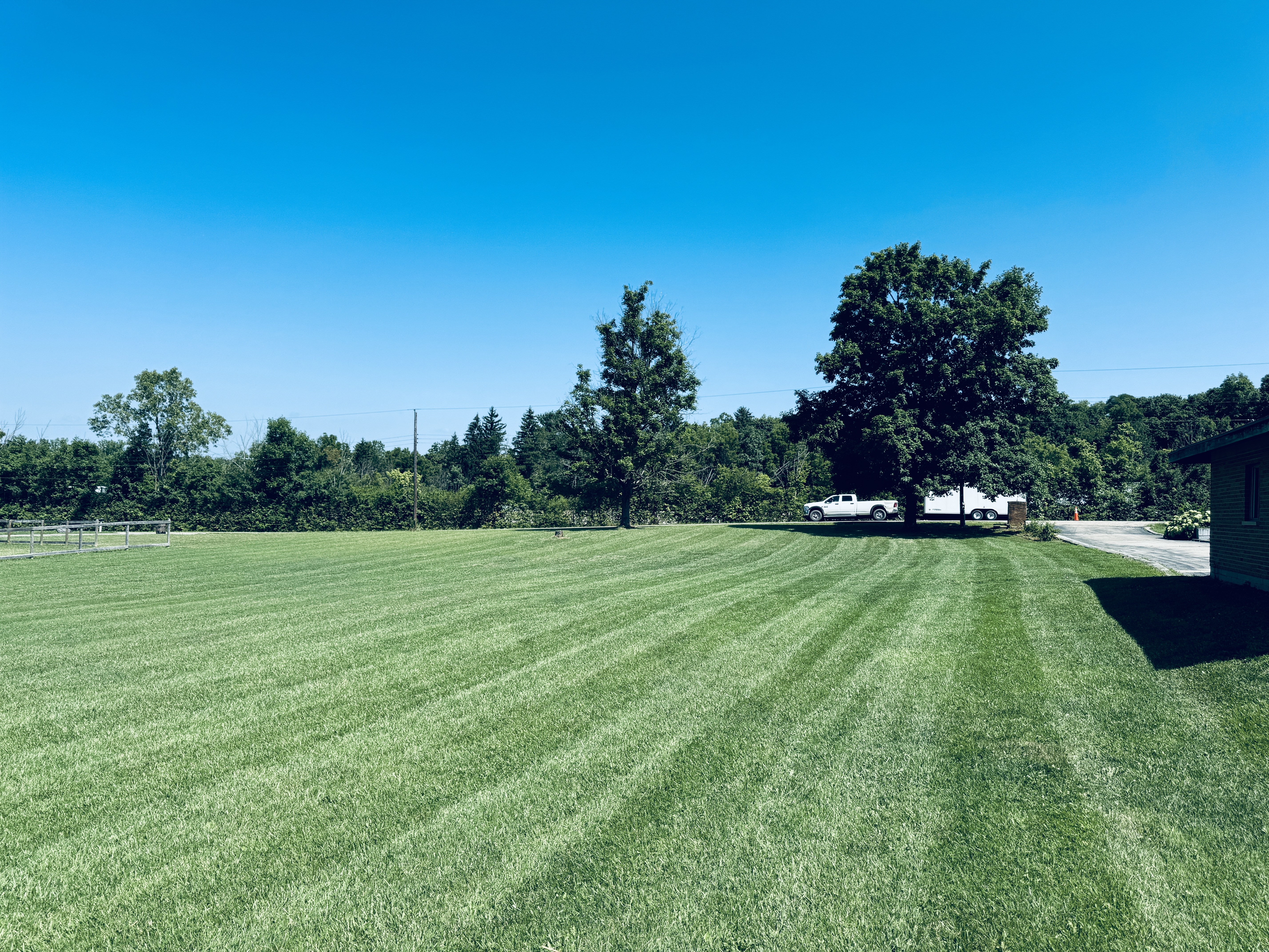 Avatar for Hidden Leaf 