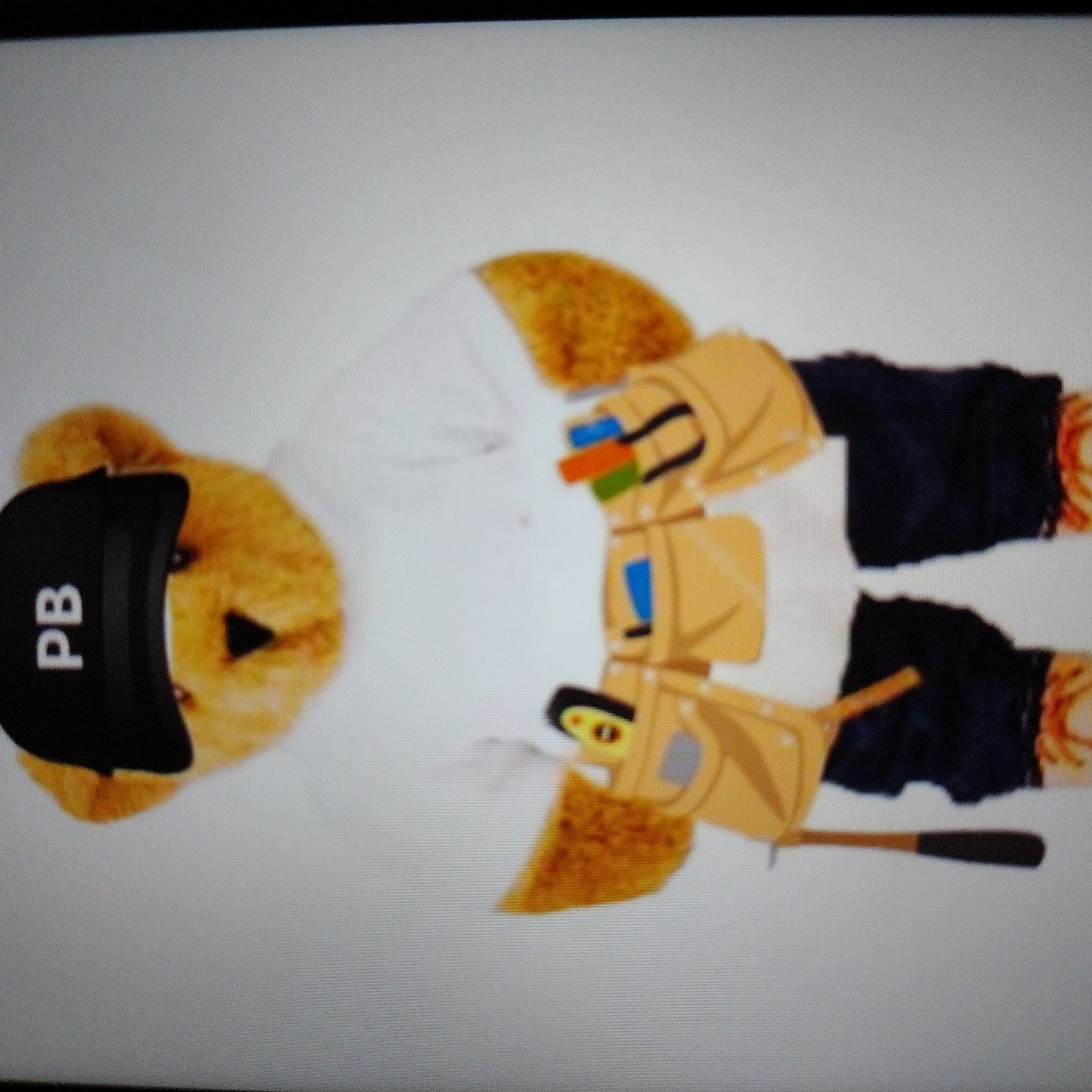 Avatar for Papa Bear Construction