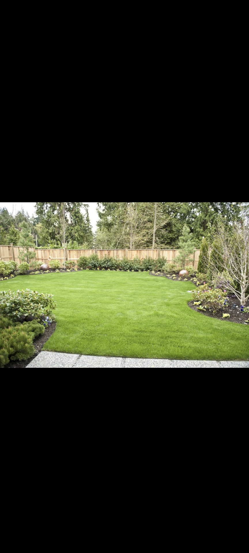 Avatar for Backyard Paradise