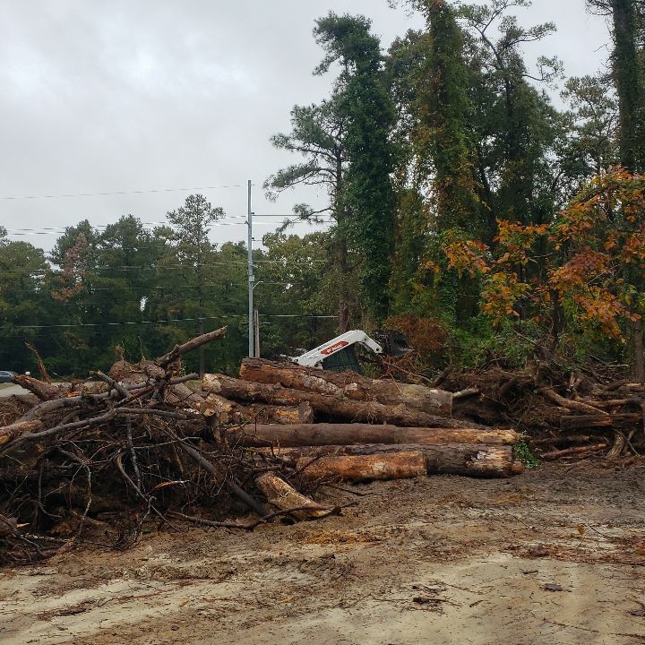 Hernandez Cruz Tree Removal Reviews Saint Pauls, NC Angi