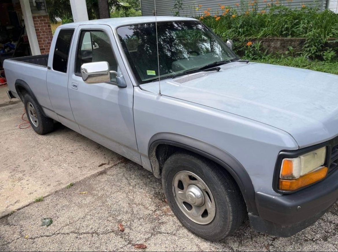 Avatar for Martins Cleaning Service