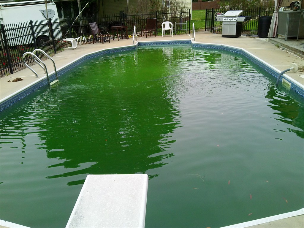 Green Pool