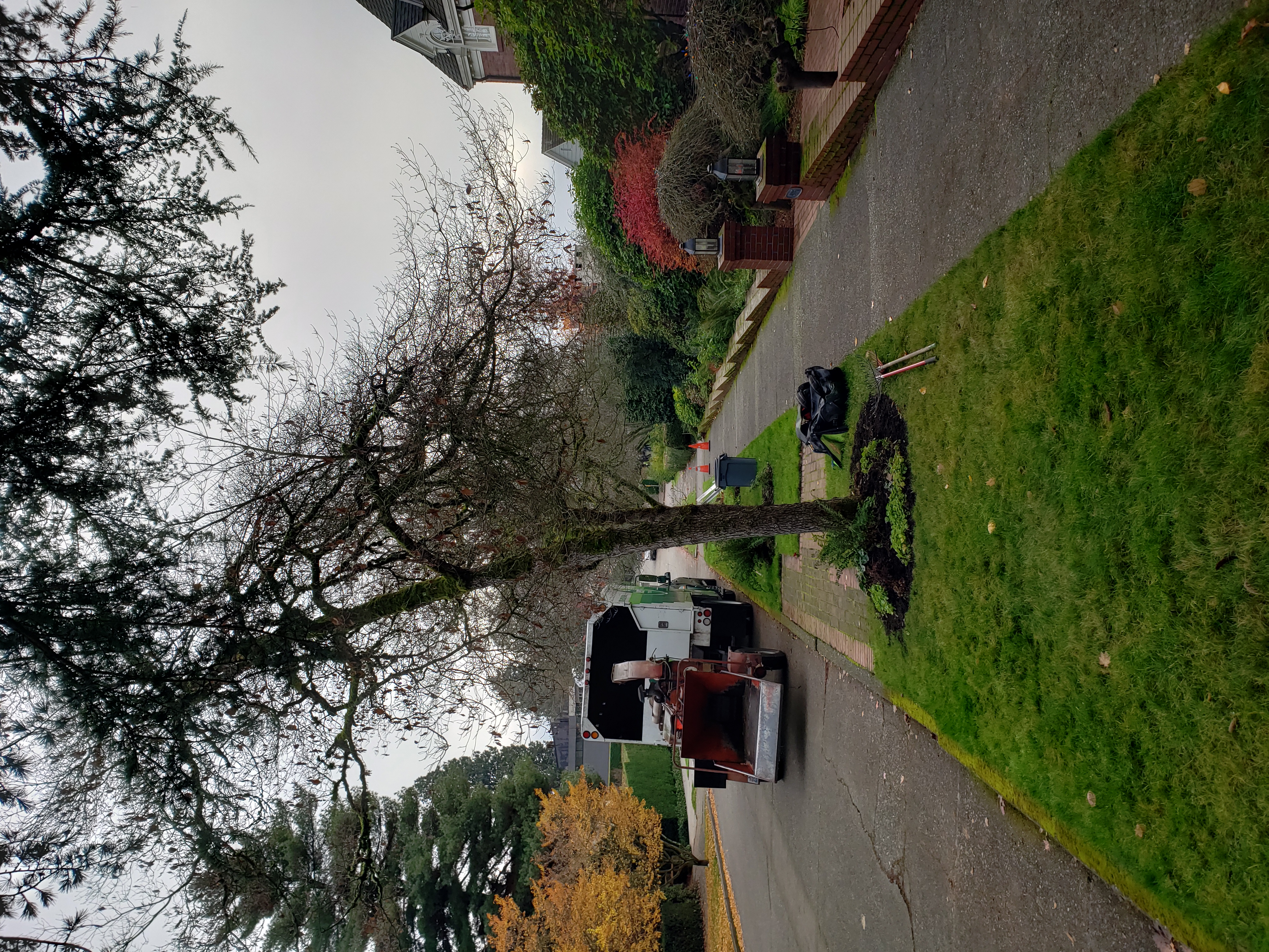 Avatar for A & B tree services