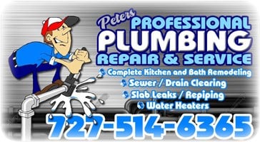 Avatar for Peters Professional Plumbing Repair and Service