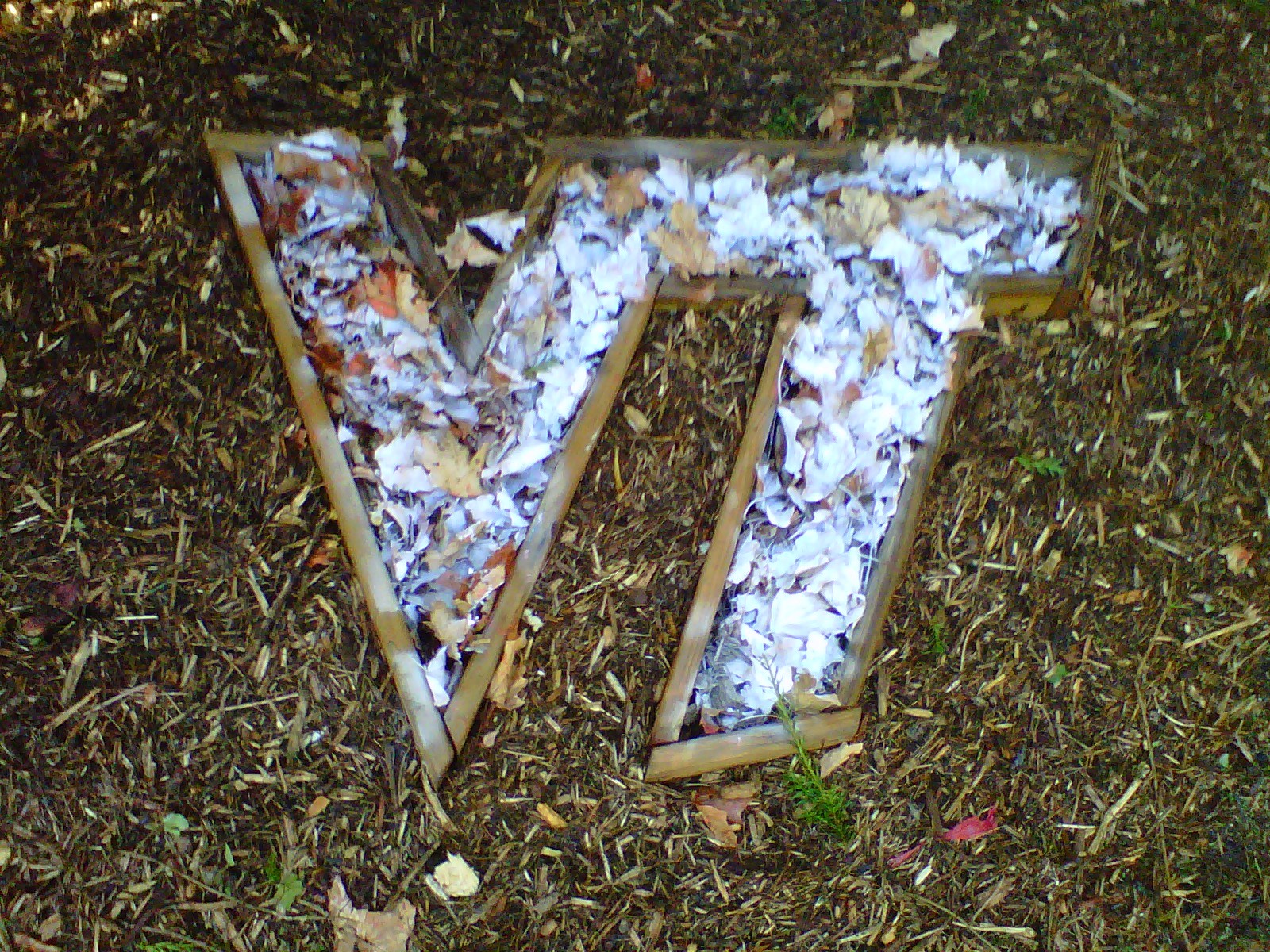 QT'S Lawn Design logo