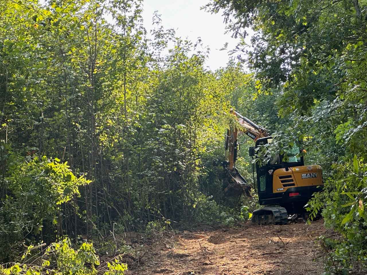 Avatar for Past The Pine