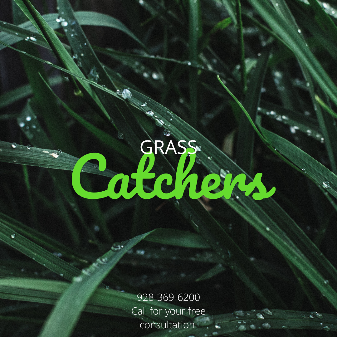Avatar for Grass catchers