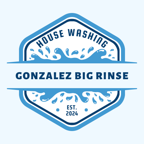 Avatar for Gonzalez Big Rinse