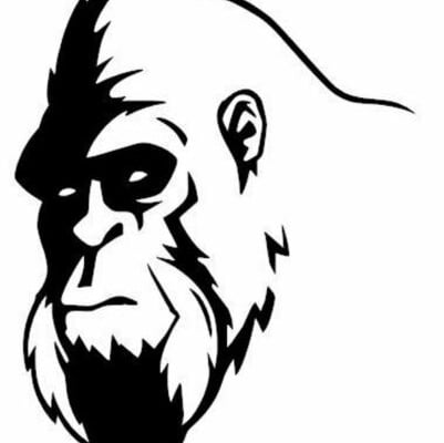 Avatar for Artsquatch's Power Washing, Paint, and Stain