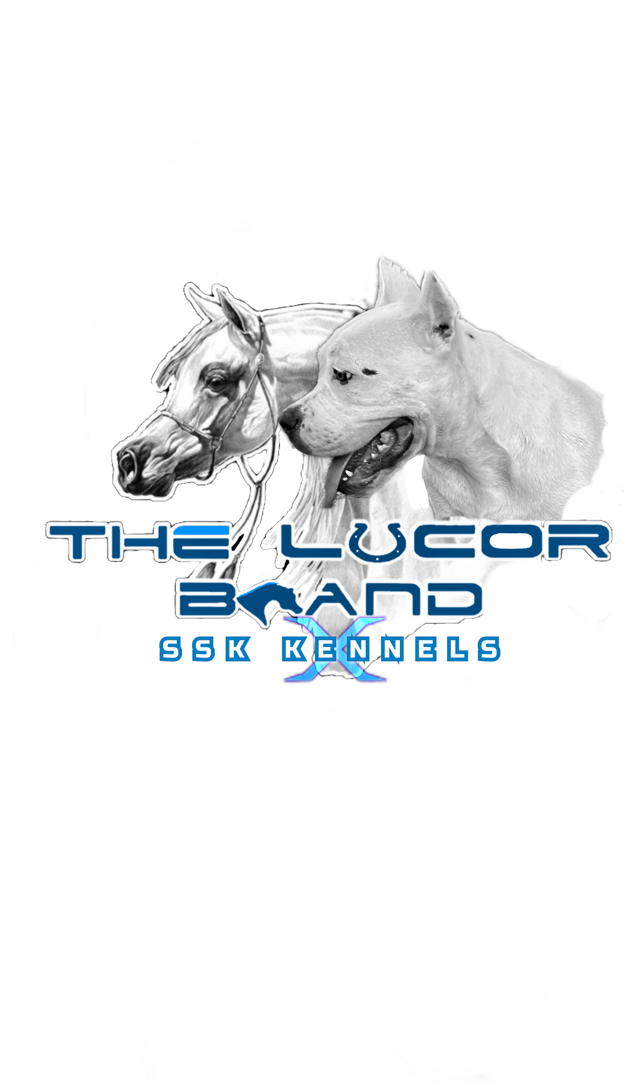 Avatar for The Lucor Brand LLC