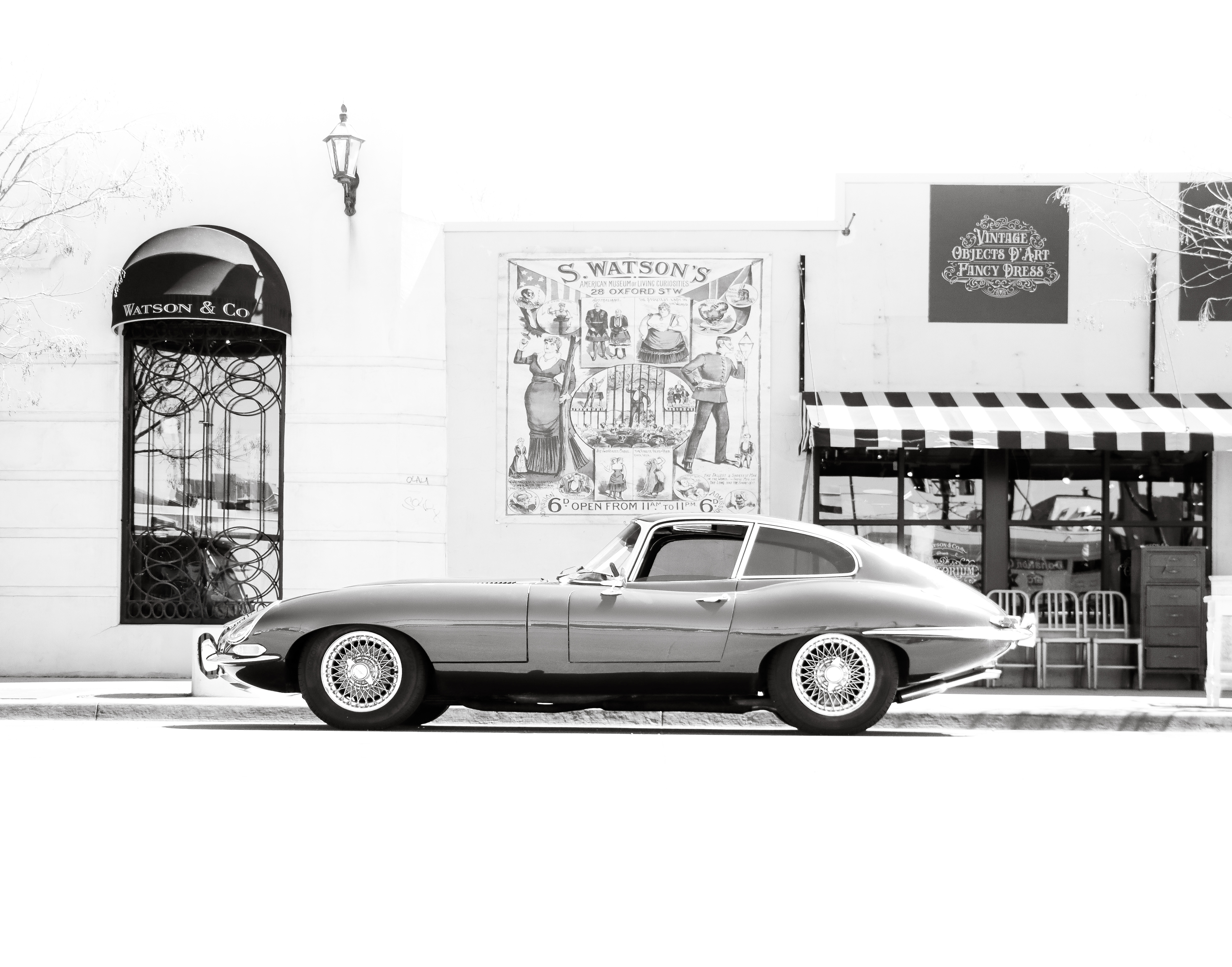 Avatar for Alex Harding Photography