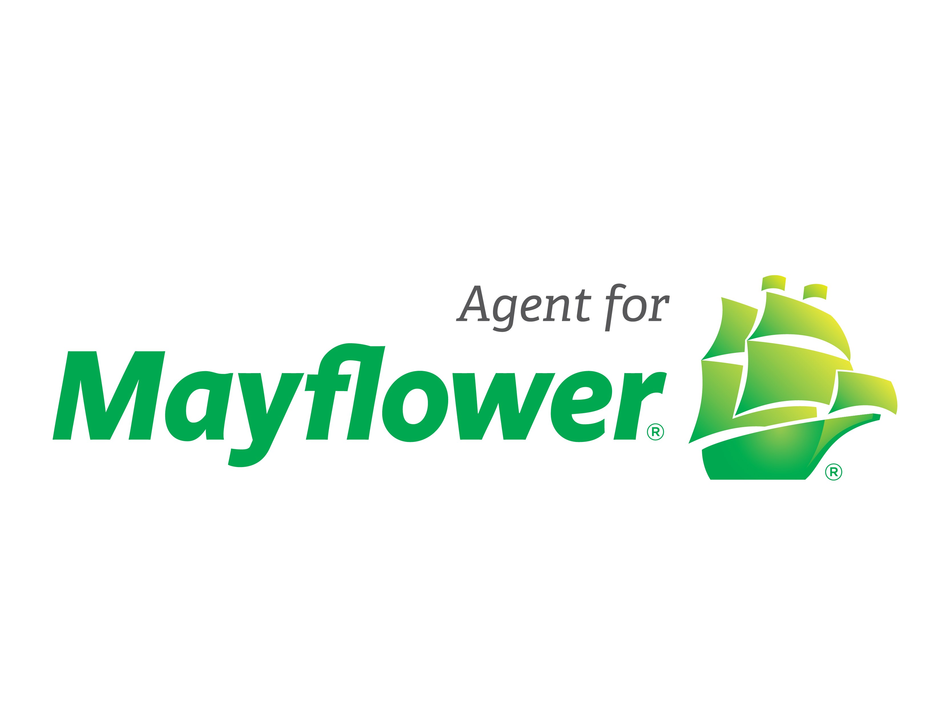 United Mayflower Storage & Moving Containers logo