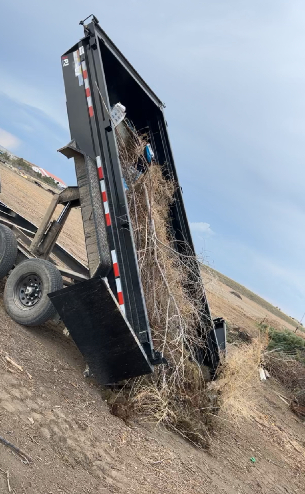 Avatar for Headache removal LLC 