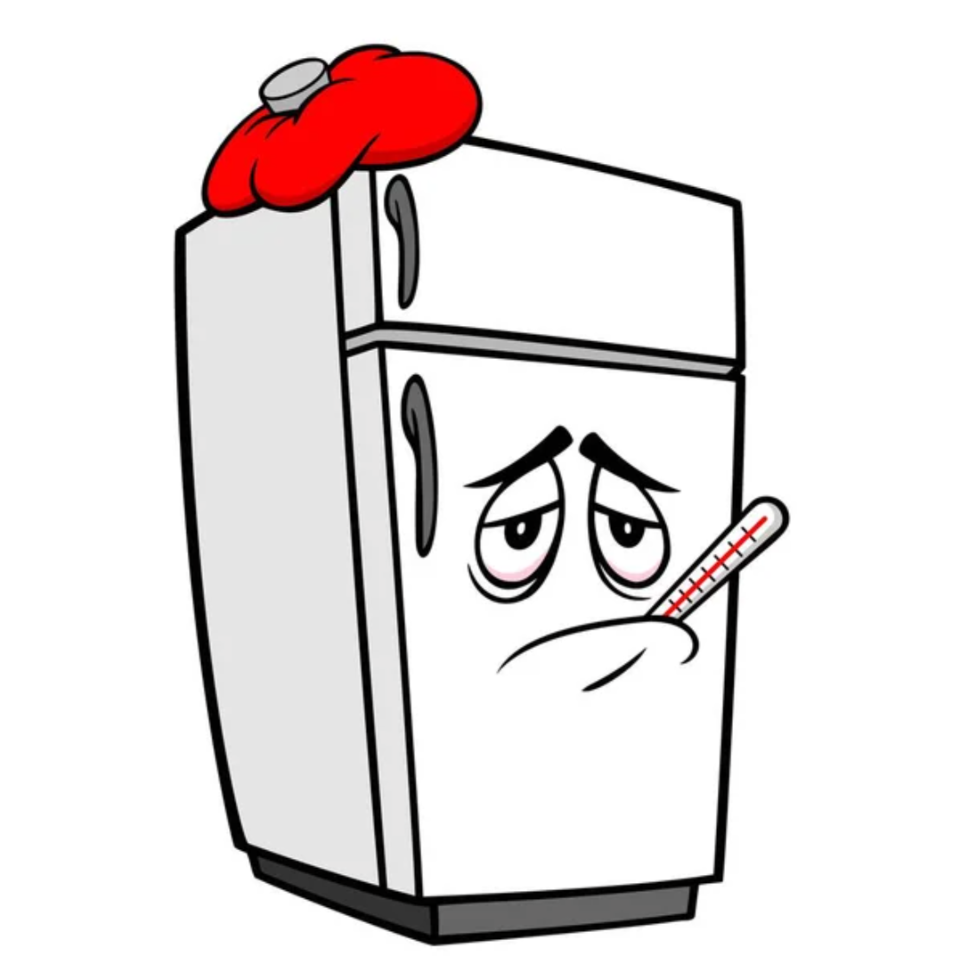 Avatar for Salt Life Appliance Repair 