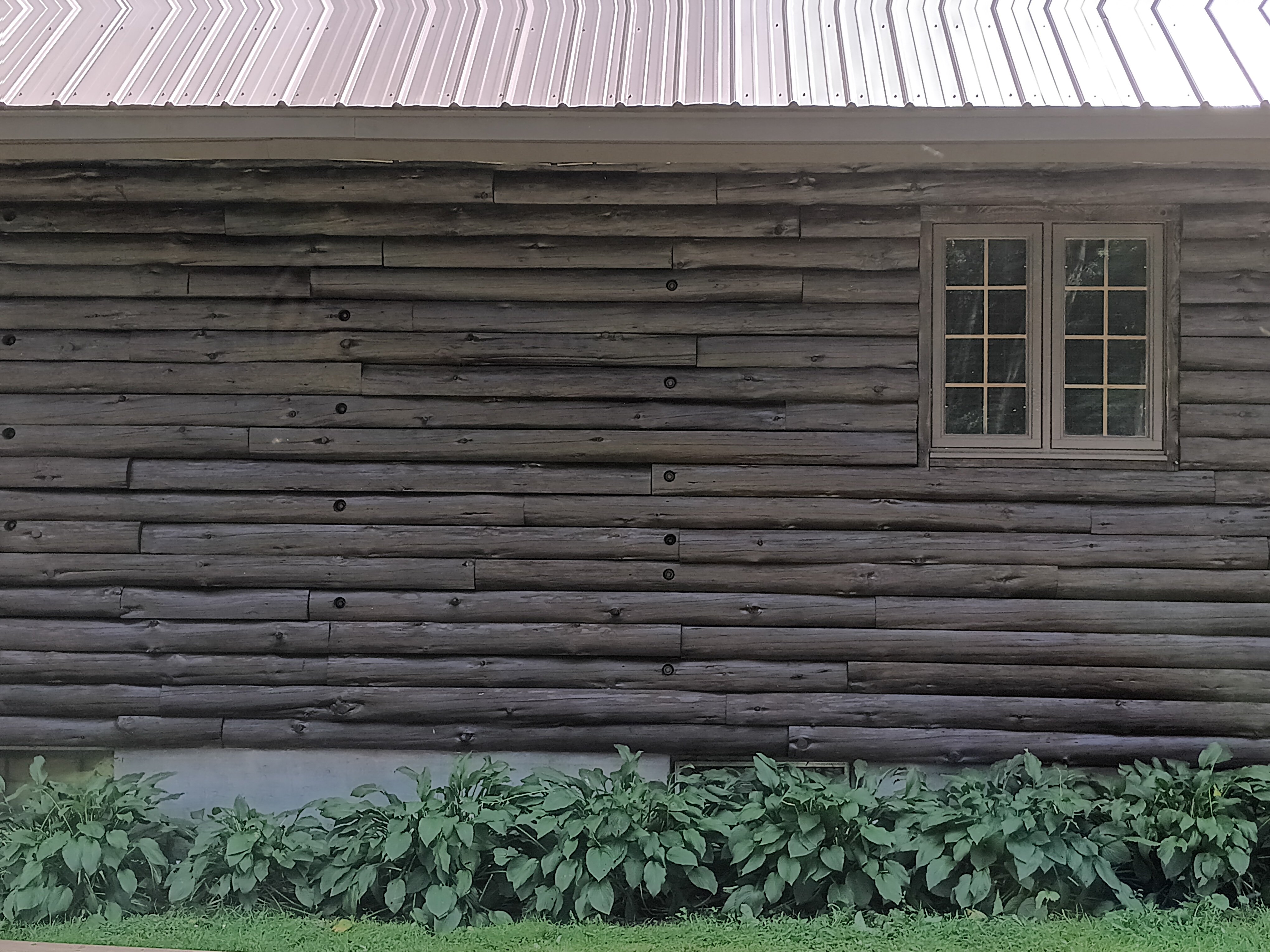 Avatar for Colorcraft pro