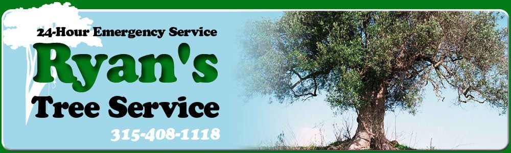Avatar for Ryan's Tree Service, LLC