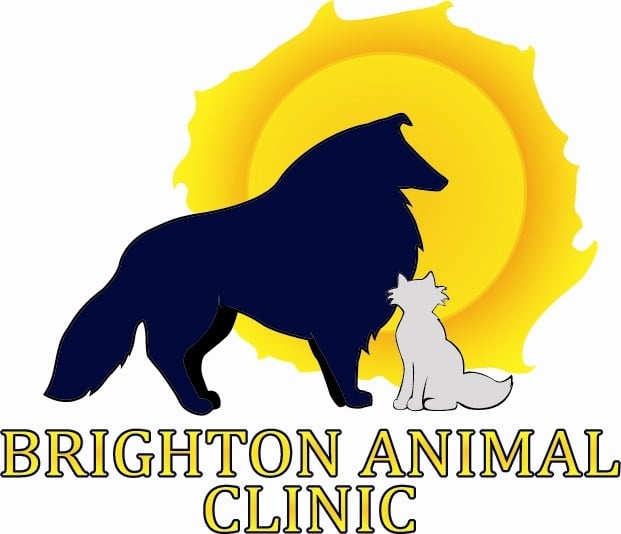 Logo for BRIGHTON ANIMAL CLINIC