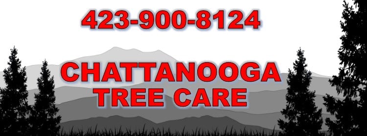Avatar for Chattanooga Tree Care