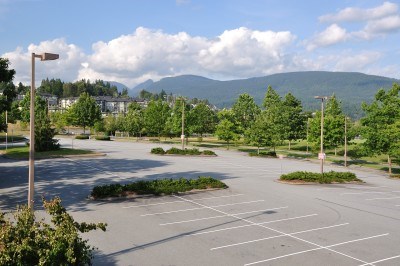Precision Tree Care