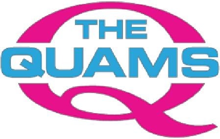 Avatar for The Quams Handyman