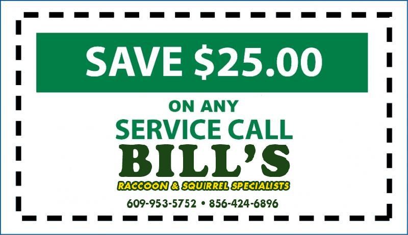 Avatar for AA Bills Raccoon And Squirrel Specialists