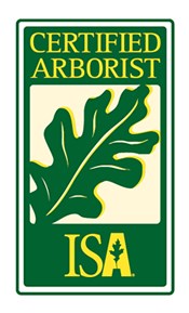 Avatar for All About Trees, LLC