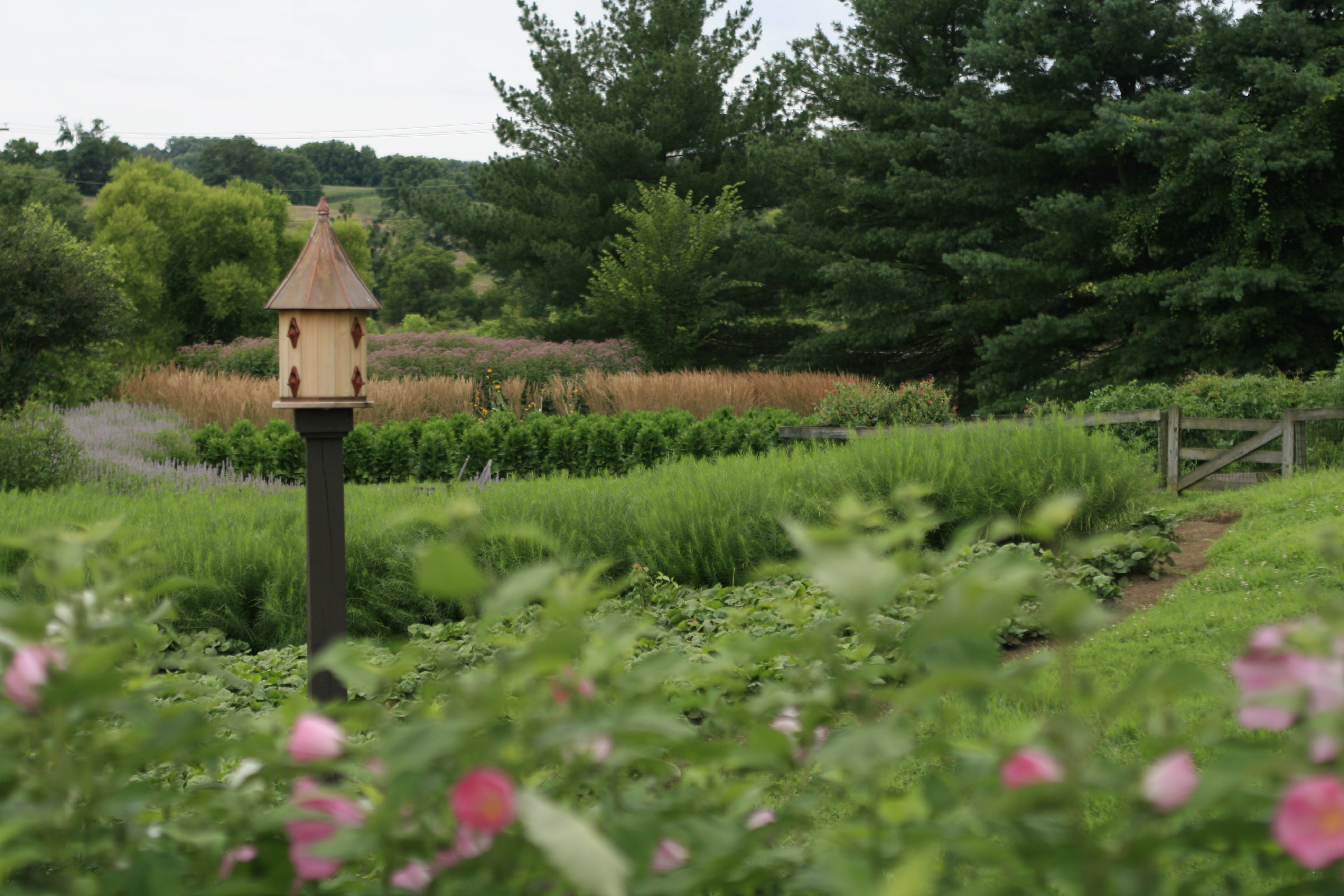 Avatar for Donald Pell Gardens