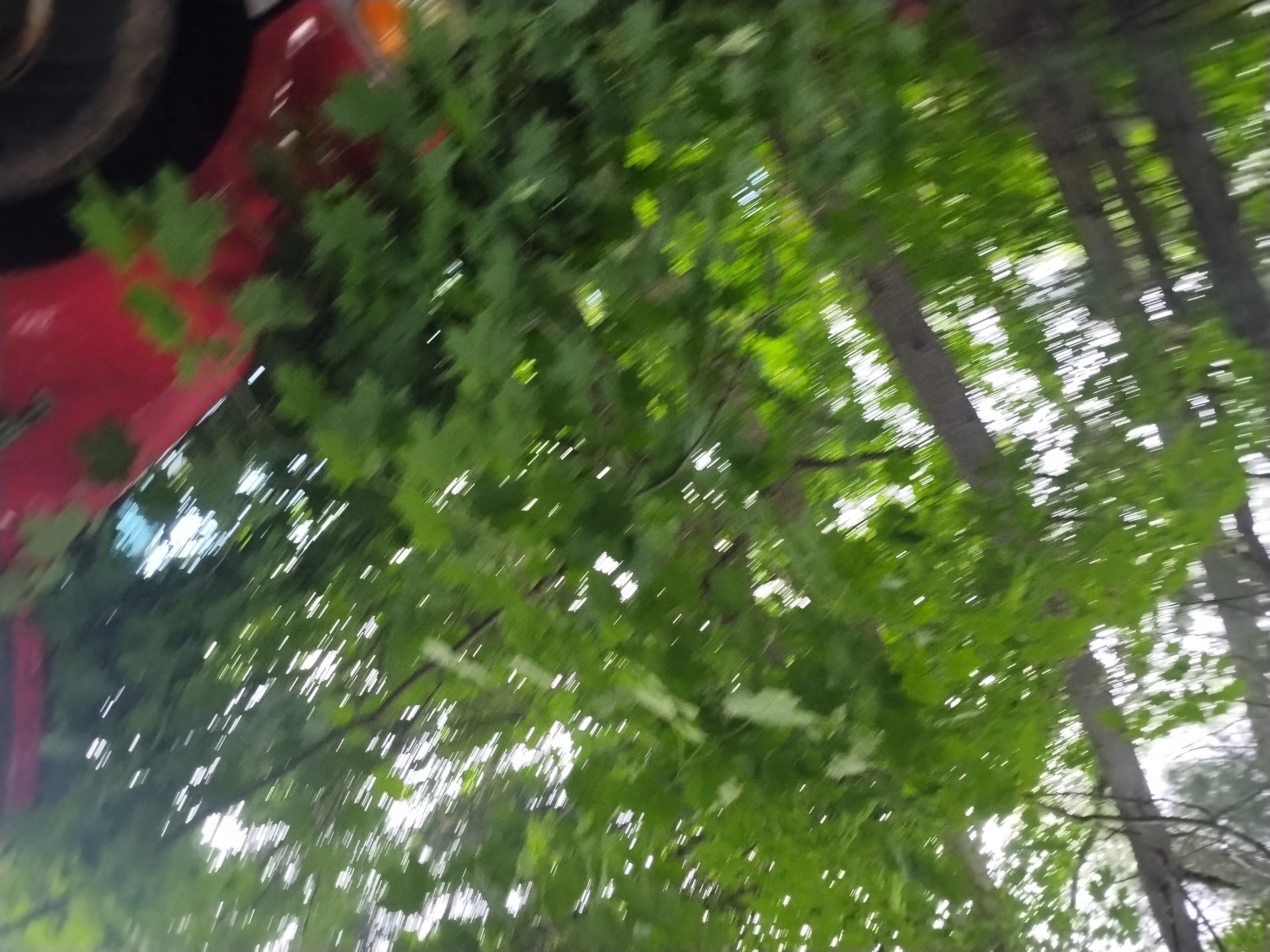 Avatar for Payton donato