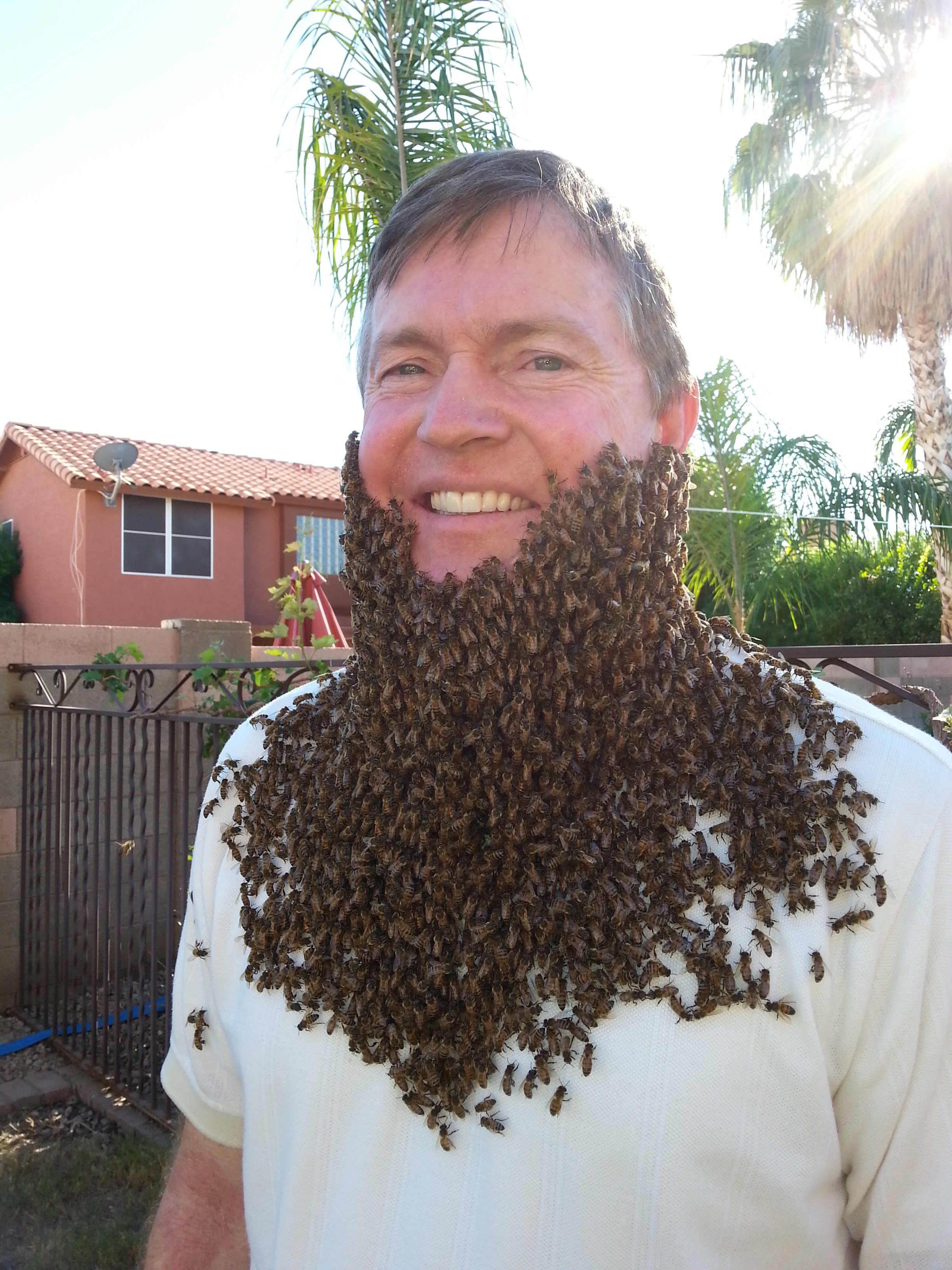 Avatar for The Beehive Bee and Wasp Removal