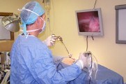 Laparoscopic Spay
