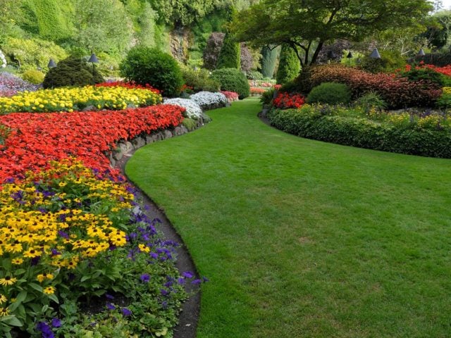 Avatar for Zarate landscaping