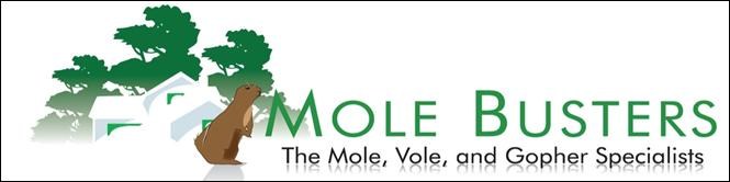 Mole Busters logo