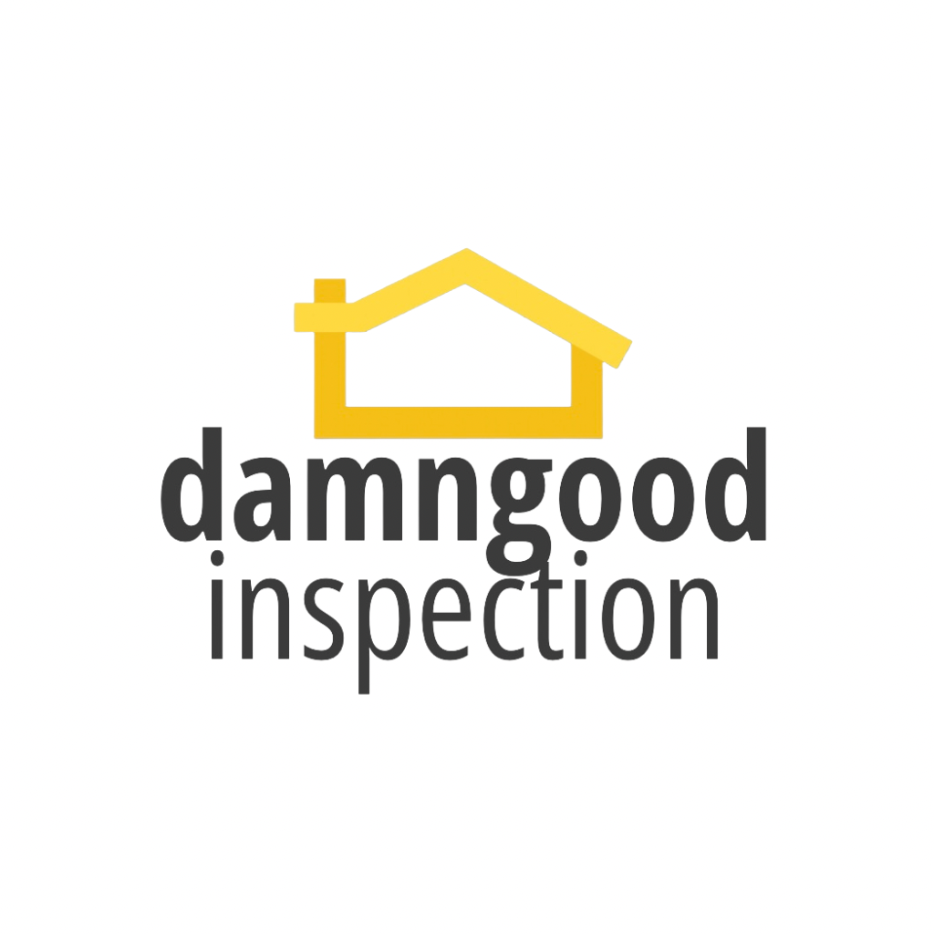Avatar for Damngood Inspection