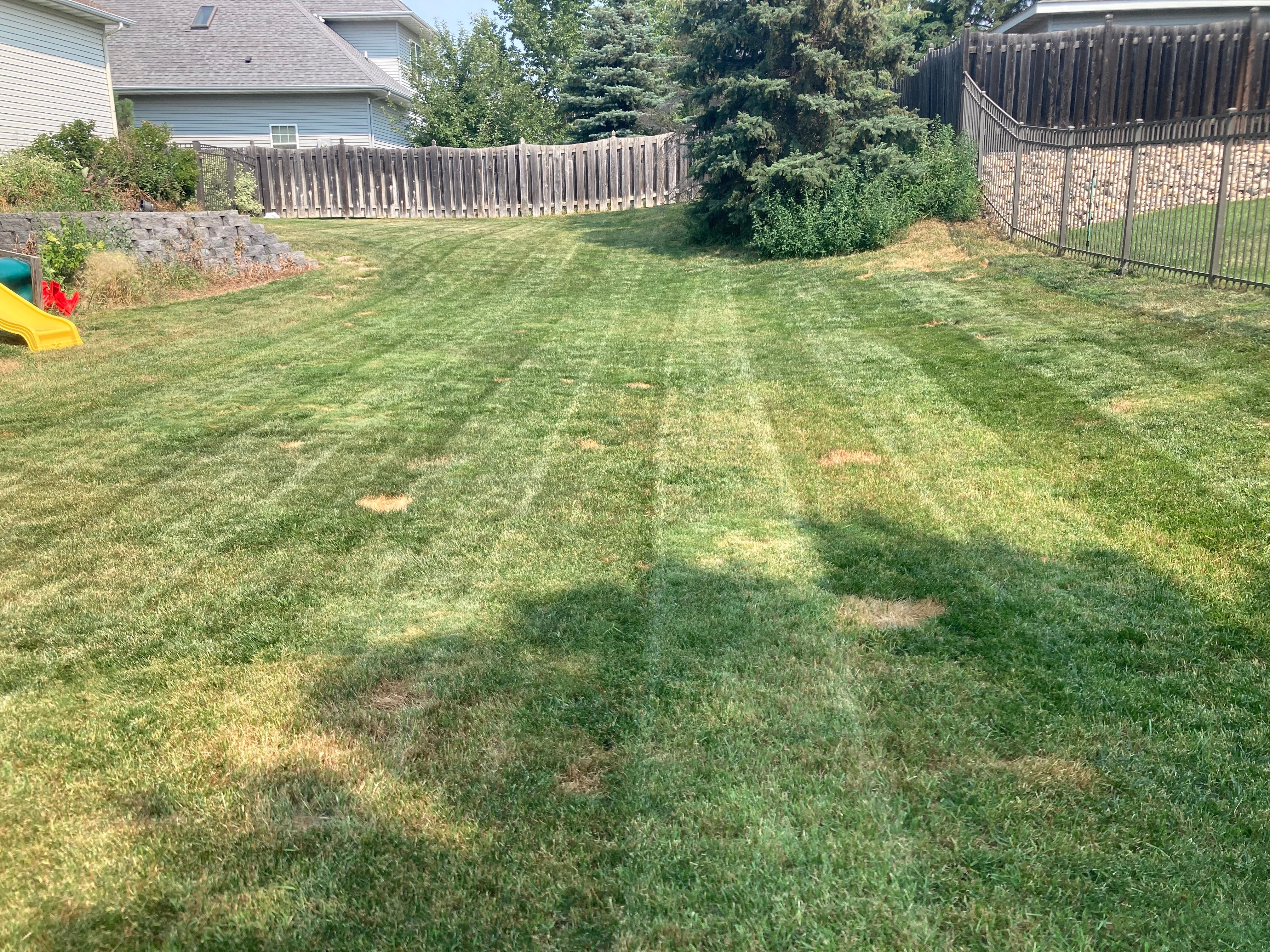 Avatar for Knowles lawn care