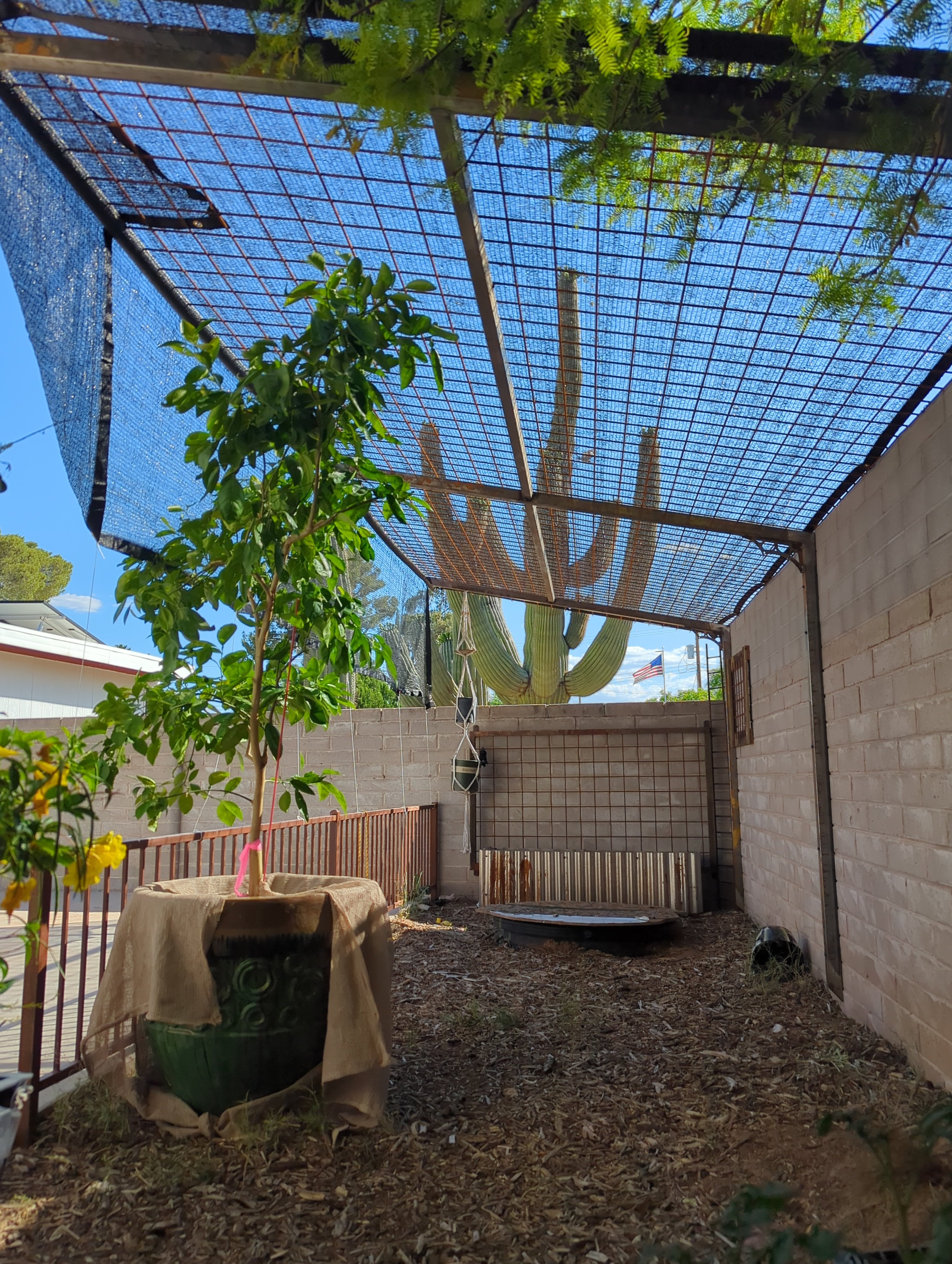 Avatar for Jared Gieszl