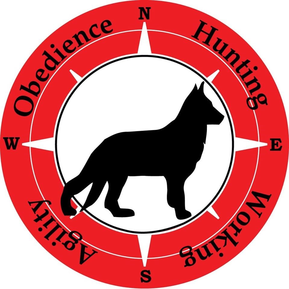 Avatar for K-9 Training Institute