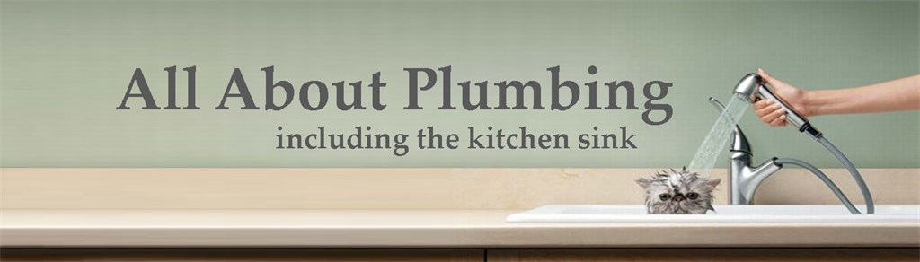 All About Plumbing Kitchen Cat