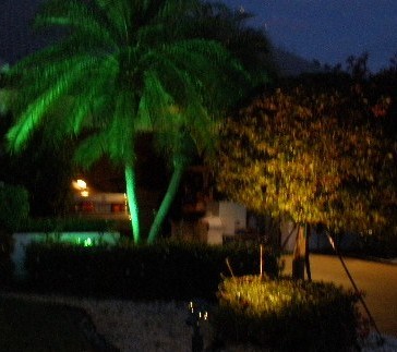 Metal Halide 2 x 100 watt