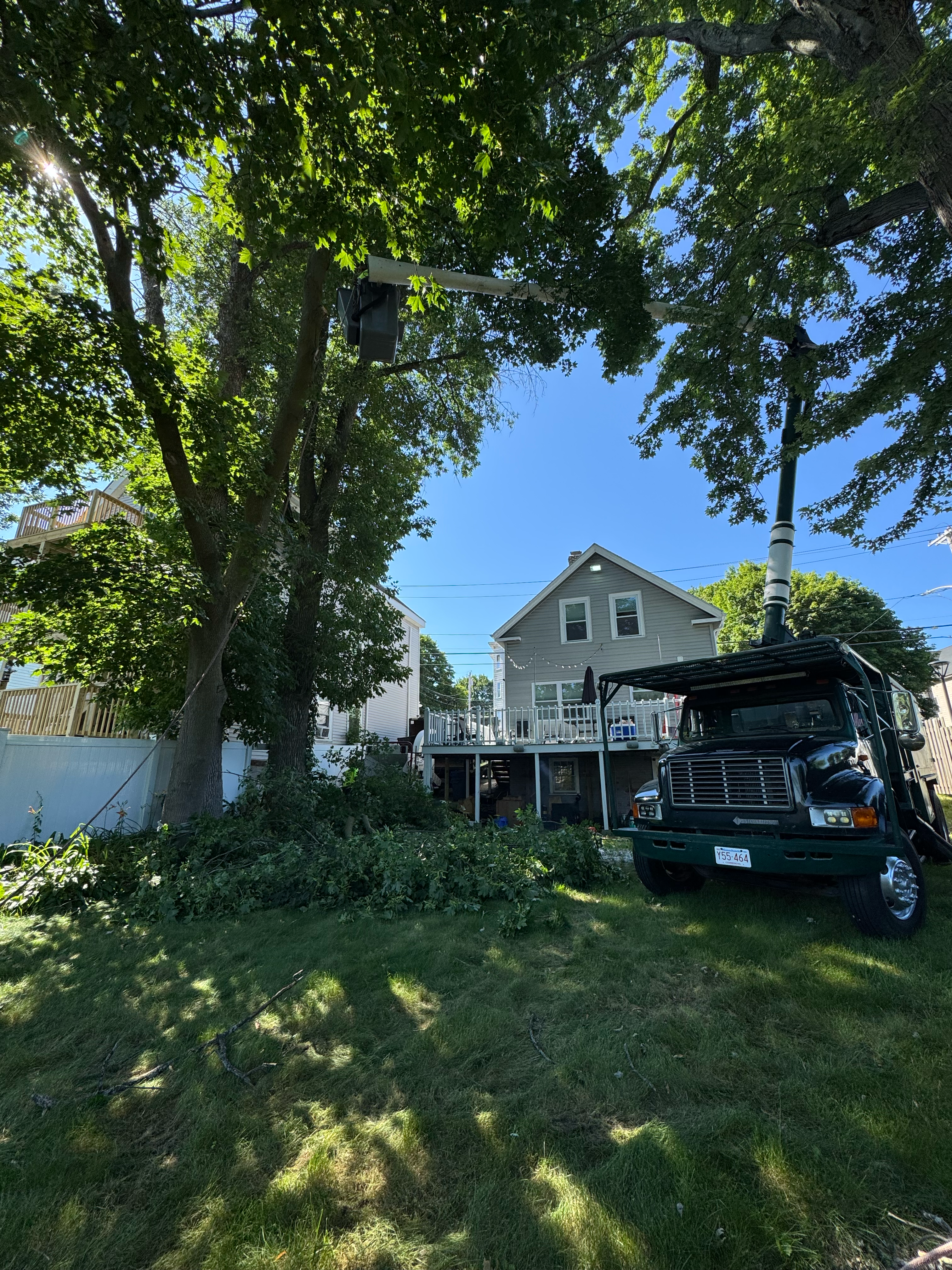 Nelson’s Hardscape And Tree Service logo
