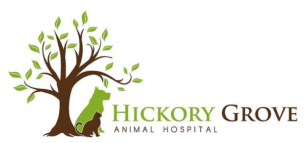 Logo for HICKORY GROVE ANIMAL HOSPITAL