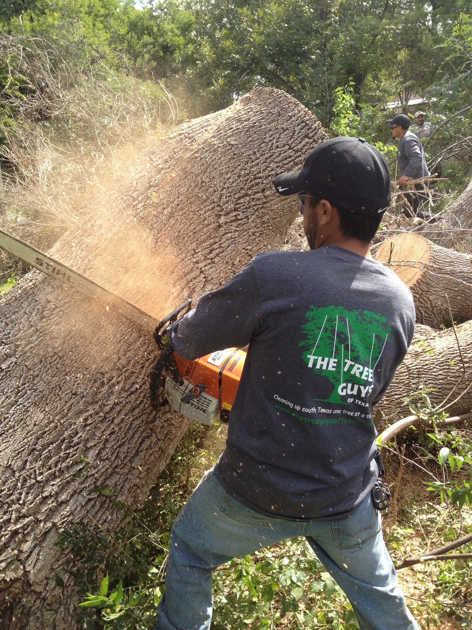 Avatar for The Tree Guys of Texas