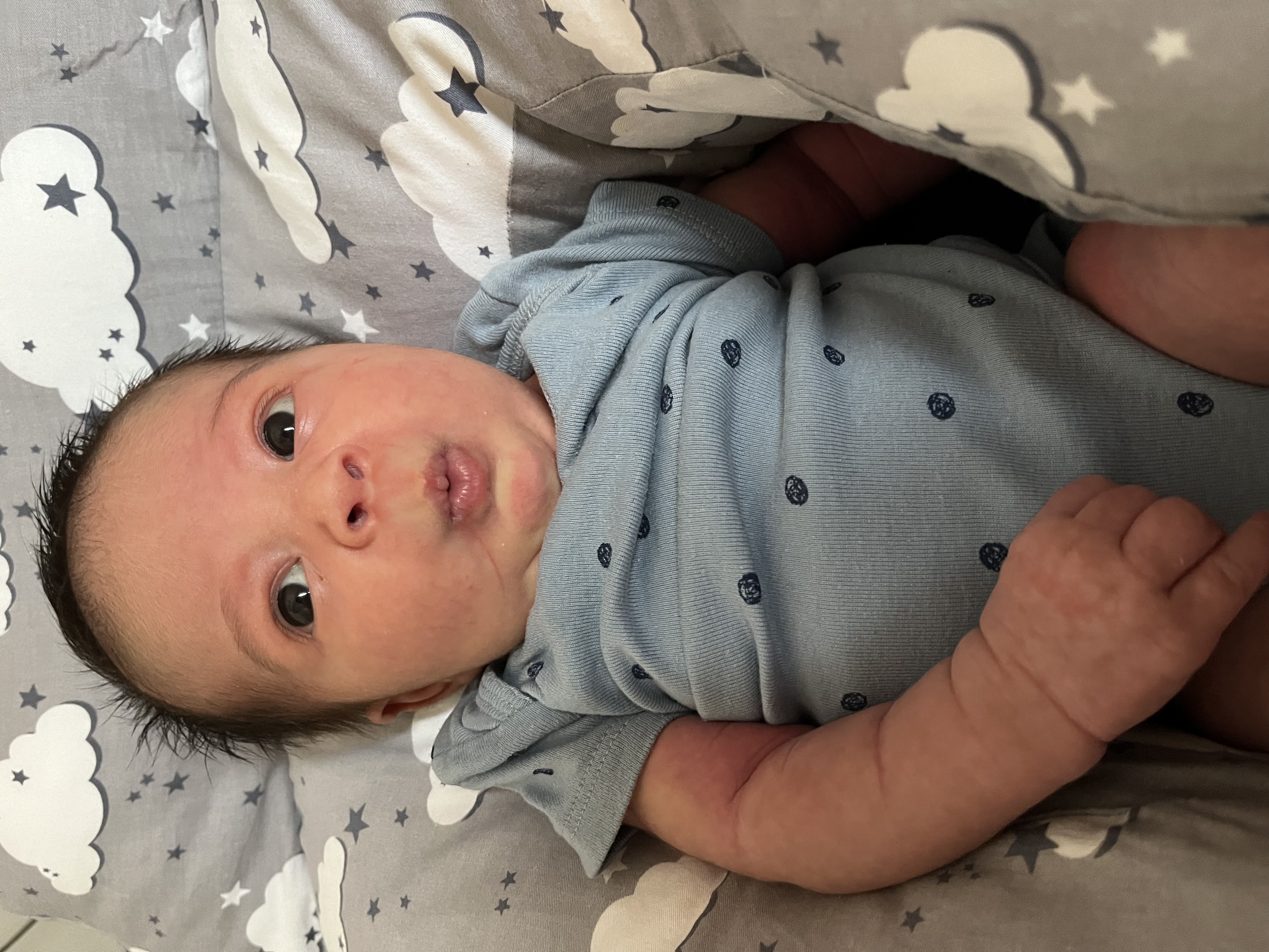 Avatar for Colorful walls painting and drywall repair 