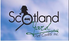 Avatar for Scotland Yard Pest Control Inc