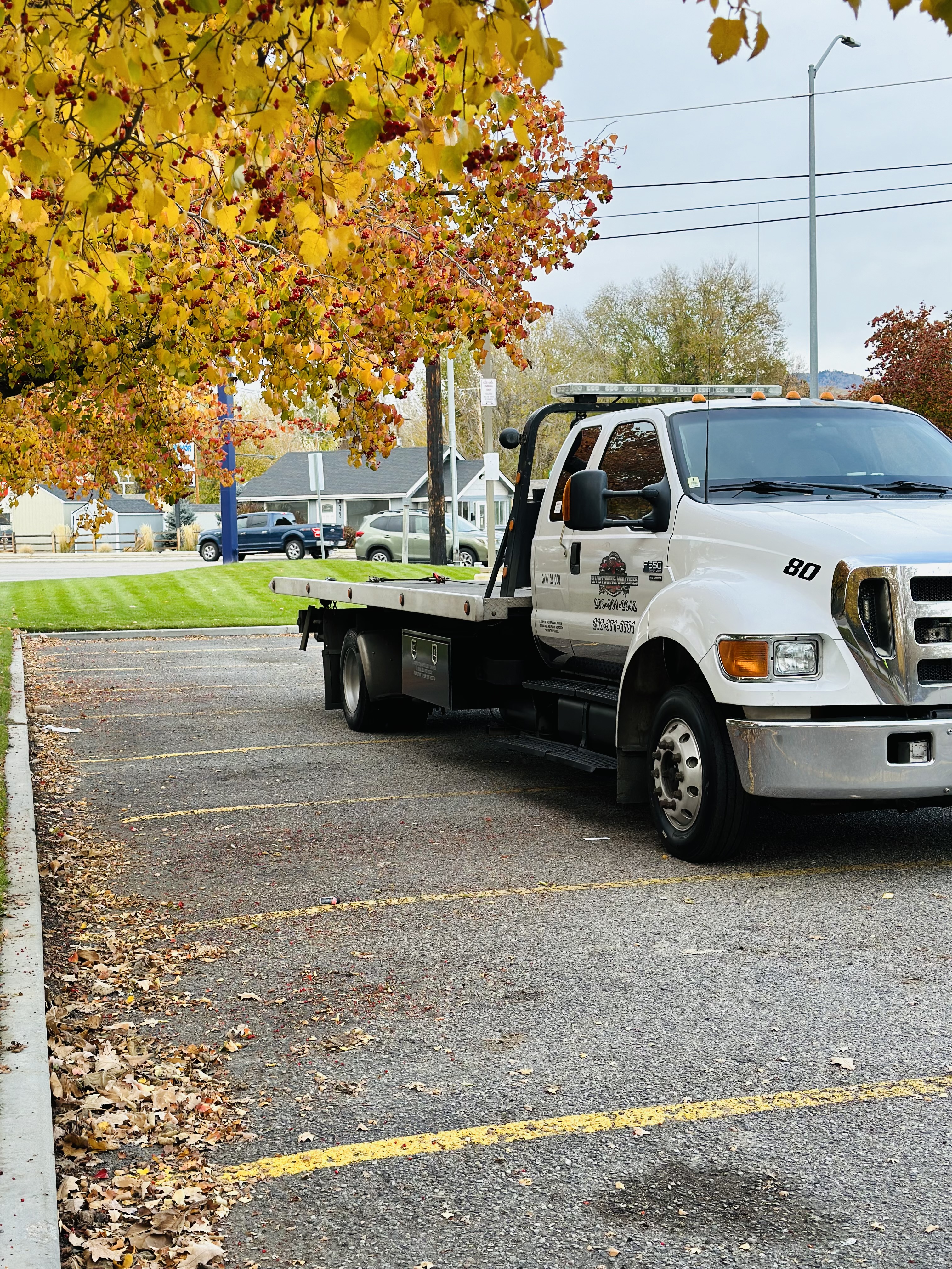 Avatar for Elvis towing